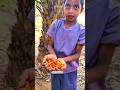 Rare Palm Fruit Harvest Gone Viral 🌴🔥#shorts #viralshorts #palmfruit #harvest #fruitharvest#fruit