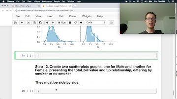 Python pandas—Visualization Exercises—Tips