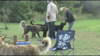 2009 09 Picard Traef