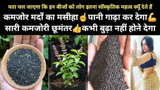 Benefits of basil seeds in Hindi | Benefits of Tulsi seeds in Hindi | What happens by eating Tuls... screenshot 4