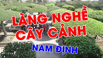 Làng nghề cây cảnh - Làng Vị Khê Nam Định | 4 Channel