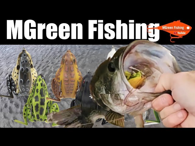 Bass fishing with the combat frog from lunkerhunt 