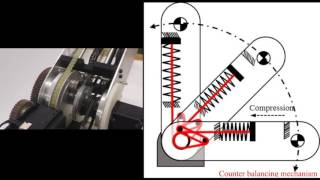 Gravity compensated manipulator