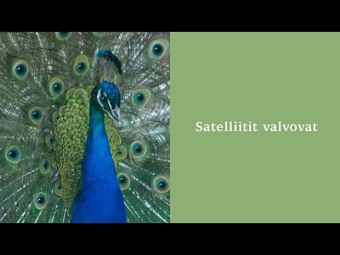 Satelliitit valvovat (Tieteen päivät 2021)