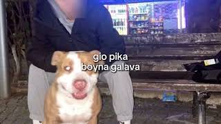 gio pika-boyna galava (speed up)