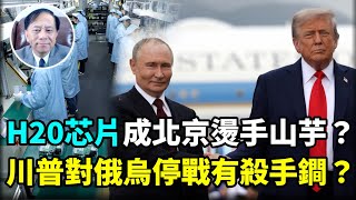【謝田時間】1.川普就英偉達向北京出售H20芯片的考量? 2.北京要求英偉達芯片設計公開?顧慮什麼? 3.AI 應用最終會不會傷害到人類自己? 4.雙普會:川普有殺手鐧?中共會失去俄羅斯的支持麼?
