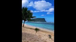 DROP IT DOWN LOW - Tiz Tana DJ Noiz Remix 🇼🇸