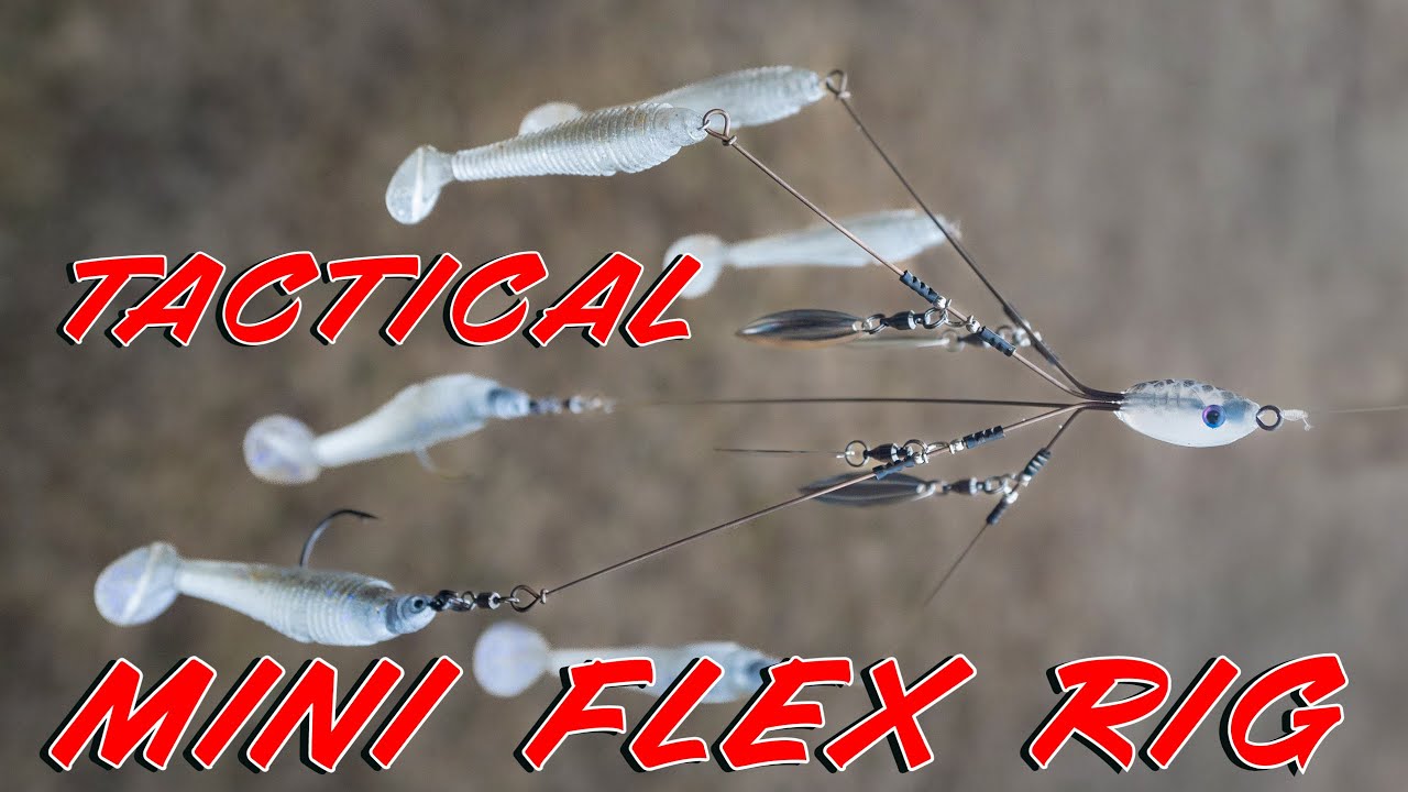 Tactical Bassin's Latest Lure Design! The Tactical MINI Flex Rig! (How To  Fish and Rig) 