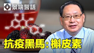 槲皮素 QUERCETIN 抗新冠營養素黑馬！它與哪些營養素合用會效果倍增？