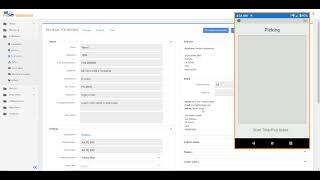 Sales Order and Picking in P4 Warehouse