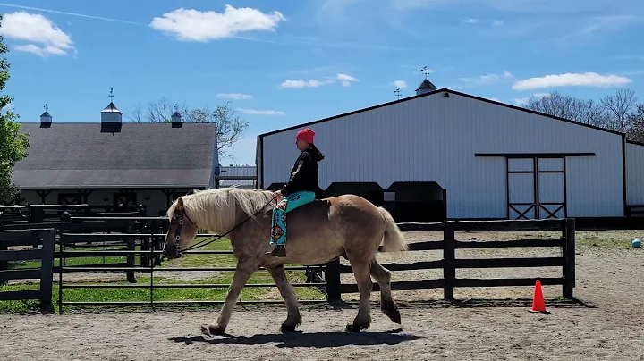 Cindy Calhoun and Buttered Bread WT Bareback Equit...