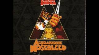 Watch Agoraphobic Nosebleed The Compensation Phenomenon video