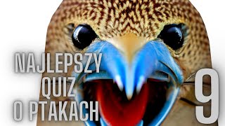 QUIZ PTAKI POLSKI 9 *każda pliszka swój ogonek chwali*