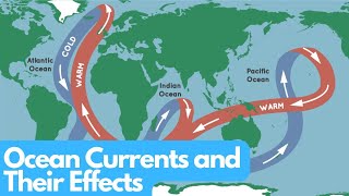 Riding the Waves: Ocean Currents Unveiled!