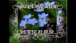 PETITE FLEUR   Felix Slovacek