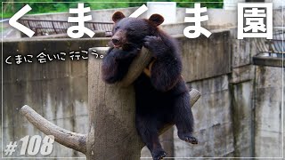 【くまくま園】クマって、かわいい。／BEAR GARDEN・北秋田市