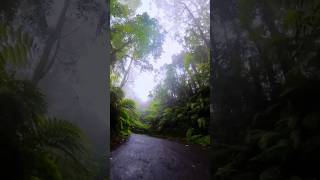 Erek erek Ke Paltuding ijen geopark #ijen #banyuwangi