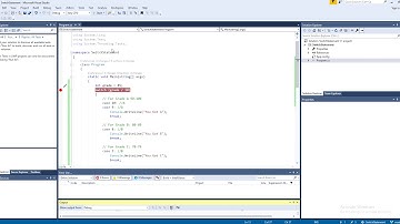 Visual Studio C# Switch Case Statement