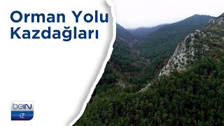 Bein İz Belgesel Orman Yolu Kazdağları