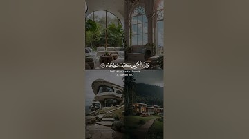 أفلا ينظرون إلى الإبل كيف خلقت من سورة الغاشية بصوت عبدالرحمن مسعد