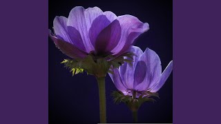 Exclusive For Spring Motivation Between The Sky And The Earth Profile