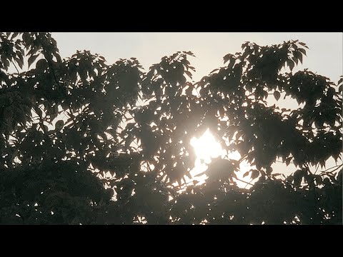 一起走吧 (demo)