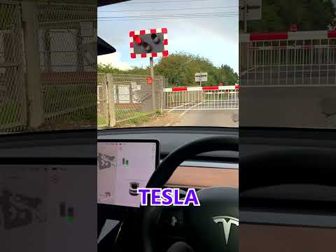 Does Tesla Autopilot recognize trains? #shorts