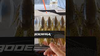6th sense bodega #bassfishing #fishing #fishinglures #fishinglure #nature #outdoors