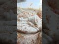 👋😍❤️Quick dahi vada batter#foodie #youtubeshorts #shorts #india #usafood #popular #lifestyle #recipe