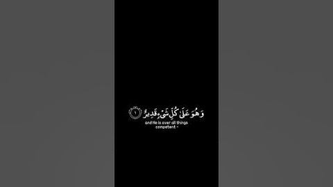 تبارك الذي بيده الملك شاشة سوداء  _  #ماهر_المعيقلي حالات واتس _ سورة الملك