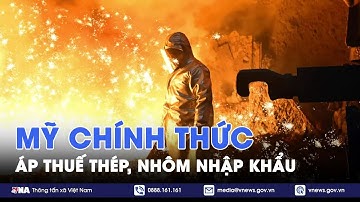 Tổng thống Mỹ chính thức áp thuế 25% đối với thép và nhôm nhập khẩu - Tin Thế giới - VNA