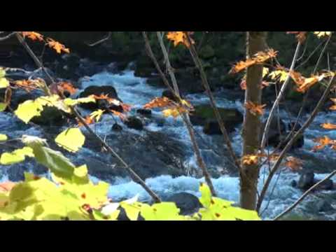 A colorful video clip of a section of the North Umpqua River between Cable Crossing and Susan Creek, about 5 miles east of Idleyld Park, OR. Taken 21 October...