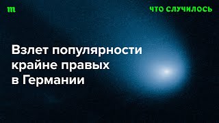 «Альтернатива для Германии» — теперь вторая по популярности партия в стране. Как это вышло?