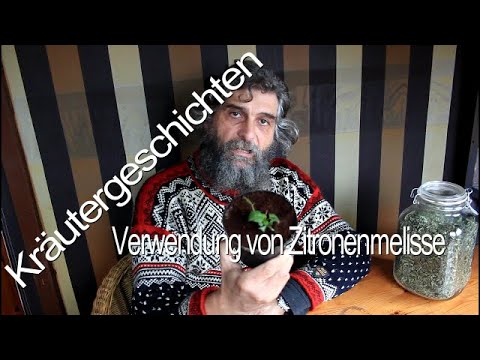 Video: Zu Welchen Gerichten Wird Zitronenmelisse Hinzugefügt