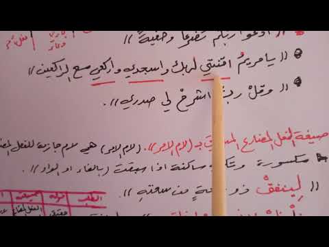 الصيغة الثالثة صيغة اسم فعل الامر