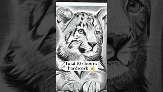 Realistic Tiger Drawing ✍️#shorts #youtubeshorts #youtube #drawing #tiger #viral #artbyabhishek