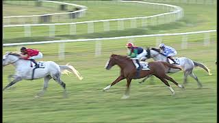 2020-11-29 corsa 7 metri 2000 Premio 2° Gala' internazionale dell'Anglo-Arabo screenshot 1