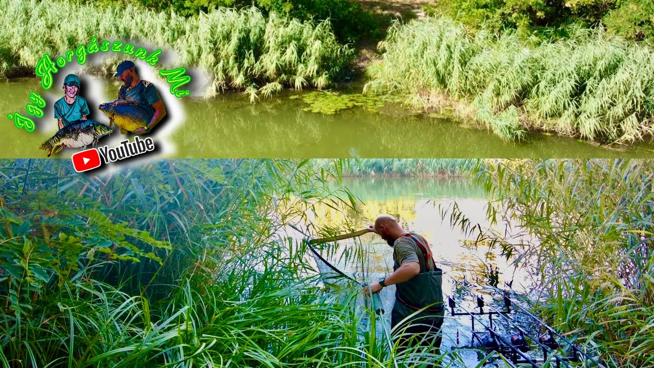 Kiskunsági Főcsatorna...🎣🐟 - Amurok?🤔👀