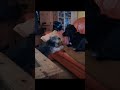 #hund #mensch #hunde #hundeliebe #hundeauftiktok
