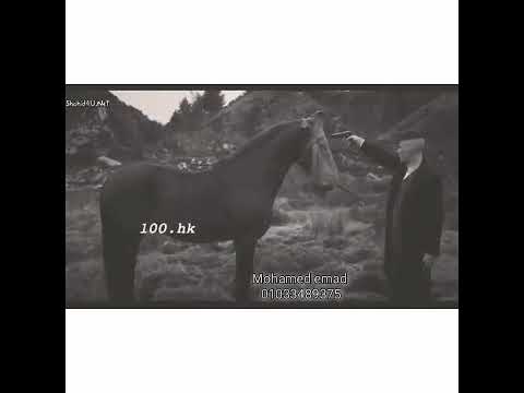 احسن حاله واتس يارا محمد ادي الليل بجراحه وناره حظ