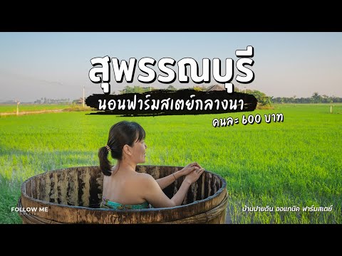 เที่ยวสุพรรณบุรี ตลาดสามชุก นอนฟาร์มสเตย์วิวทุ่งนาคนละ​ 600 บาทที่ บ้านปายดิน | FOLLOW ME Creator