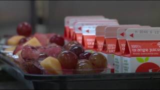 NISD offering free spring break meals for kids Nisd Offering Spring Break Meals