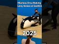 Silly Orca Makes Funny Noises at SeaWorld! 🤣🐋 #Shorts