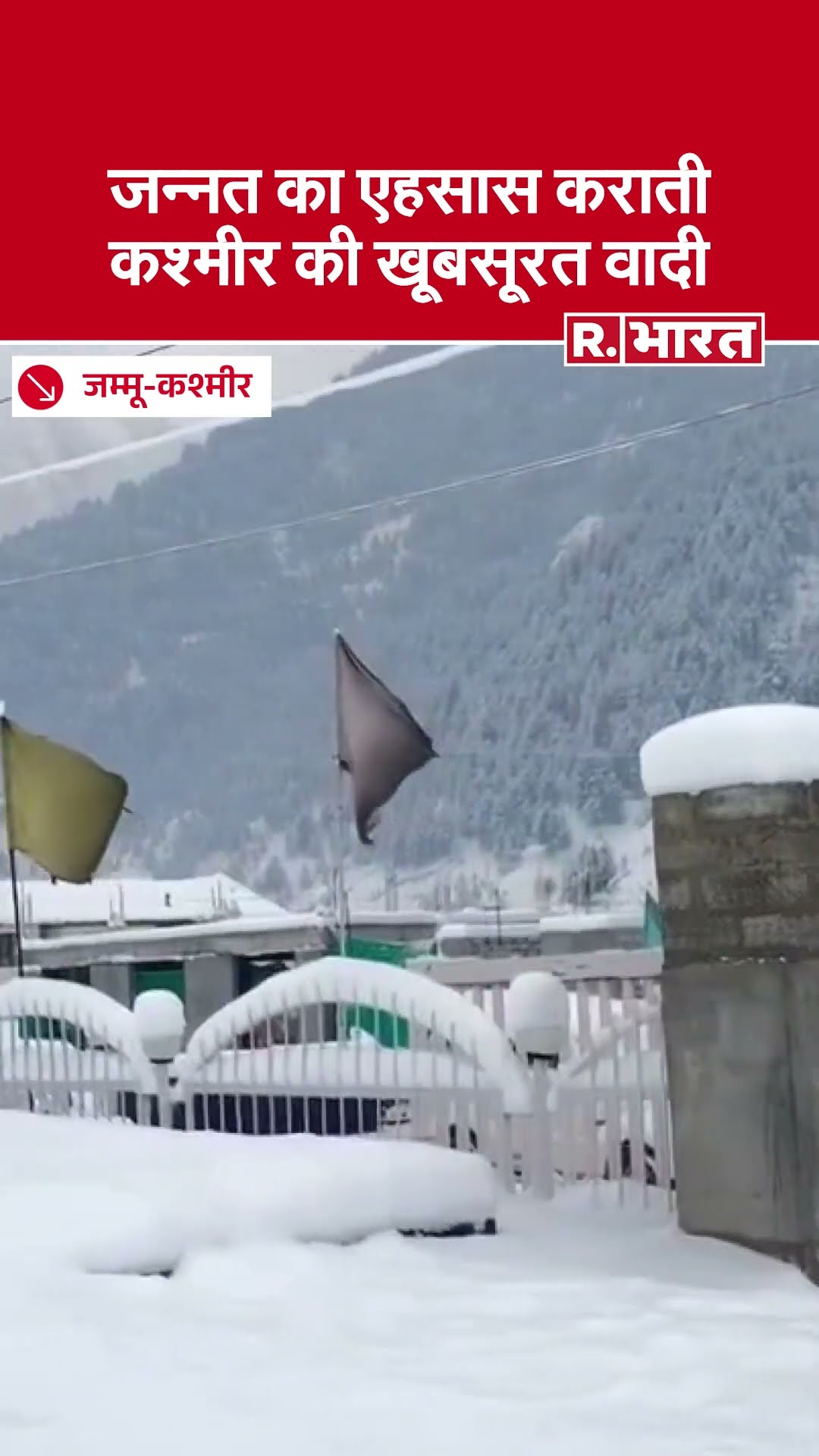 Jammu Kashmir Snowfall: Ganderbal, Gulmarg, Srinagar में हो रही बर्फबारी