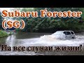 Обзор Subaru Forester SG (2007г) - авто на все случаи жизни