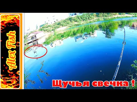 Ловля на спиннинг. Щучья свечка. Волгоградский вечер № 2.