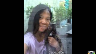Download Lagu ada bayangmu,,,, MP3 Download Lagu ada bayangmu,,,, MP3