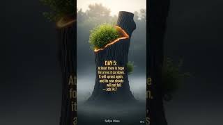 DAY 5 –LOOK! YOU WILL RISE AGAIN #scripture #challenge #daily #devotional #hope #message #foryou #me