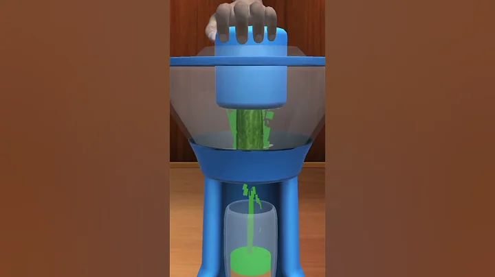 #juicewrld#juicemaking#juicemachine#carrotjuice#cucumberjuice#raddedeobandiyat shjuice