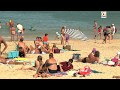 Quiberon   la plage de porthaliguen  tv quiberon 247